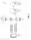 Fig. 02 - Synchronization signaling supporting multiple waveforms