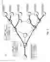 Fig. 05 - Internet protocol based encapsulation for bit indexed explicit replication (BIER)