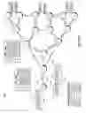 Fig. 15 - Internet protocol based encapsulation for bit indexed explicit replication (BIER)