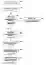 Fig. 01 - Multicast load balancing in multihoming EVPN networks