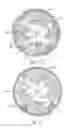 Fig. 13 - IMAGE-CAPTURING APPARATUS AND IMAGE-CAPTURING CONTROL METHOD
