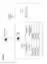 Fig. 07 - Dimension extractable object comprising spatial metadata for a captured image or video