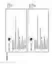 Fig. 20 - Dimension extractable object comprising spatial metadata for a captured image or video