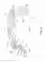 Fig. 13 - Virtual image display apparatus