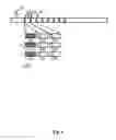 Fig. 06 - METHOD OF DELIVERY AUDIOVISUAL CONTENT AND CORRESPONDING DEVICE