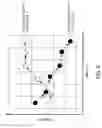 Fig. 07 - INFORMATION COLLECTION SYSTEM AND INFORMATION COLLECTION APPARATUS