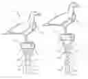 Fig. 01 - Utensil Attachment