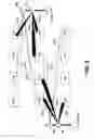 Fig. 04 - Band assignment for user equipment on multiband advanced wireless communications networks