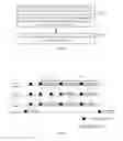 Fig. 03 - METHOD AND DEVICE FOR PREEMPTING TRANSMISSION RESOURCES ON UNLICENSED CARRIERS