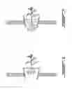 Fig. 07 - METHOD OF GROWING PLANTS, GROWING CHAMBER AND SYSTEM THEREFORE