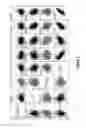 Fig. 02 - Yield traits for maize