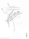 Fig. 06 - POULTRY HOUSING APPARATUS AND METHOD FOR EGG LAYING DUCKS