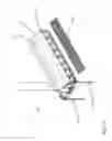 Fig. 12 - POULTRY HOUSING APPARATUS AND METHOD FOR EGG LAYING DUCKS