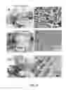 Fig. 06 - Method of producing infertile fish and egg-producing aquatic animals and of delivering compounds into eggs and embryos