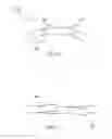 Fig. 09 - Fish securing device for cleaning fish