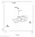 Fig. 06 - Yeast and bacterial probiotics combinations and methods of use to improve swine production