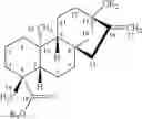 Fig. 02 - GLYCOSIDE COMPOSITIONS