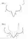 Fig. 02 - Brassiere