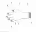 Fig. 02 - ULTRAVIOLET SHIELD GLOVE