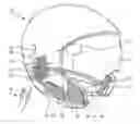 Fig. 01 - HELMET WITH AUDIO FEATURES