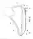 Fig. 08 - Inflatable charging device applied to a shoe