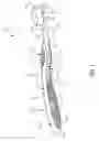 Fig. 02 - Oral care implement having multi-component handle