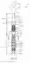 Fig. 04 - Oral care implement having multi-component handle