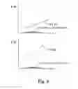 Fig. 09 - OCT apparatus
