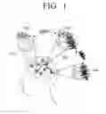 Fig. 02 - MRI approach of multiple times to repeat for detection of neuronal oscillations