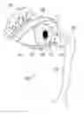 Fig. 01 - Ocular devices and methods for the employment thereof