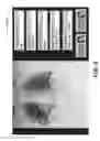 Fig. 09 - Mobile radiographic apparatus/methods with tomosynthesis capability