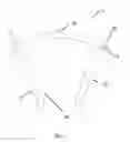 Fig. 02 - STAPLES FOR GENERATING AND APPLYING COMPRESSION WITHIN A BODY