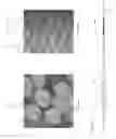 Fig. 08 - Packaging for surgical implant