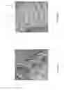 Fig. 22 - Packaging for surgical implant