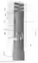 Fig. 35 - Packaging for surgical implant