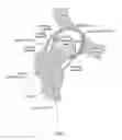 Fig. 02 - Method and apparatus for performing minimally invasive arthroscopic procedures