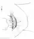 Fig. 02 - Bracket system