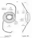 Fig. 04 - Electro-chromic ophthalmic devices