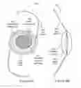 Fig. 05 - Electro-chromic ophthalmic devices