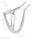 Fig. 03 - Naturally designed mitral prosthesis