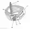 Fig. 01 - OBLIQUE INTERBODY DEVICE