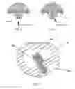 Fig. 02 - OBLIQUE INTERBODY DEVICE
