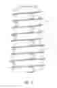Fig. 08 - FENESTRATED SPINAL IMPLANT