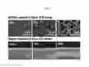 Fig. 06 - Multifunctional bioimplantable structure and method of preparing the same