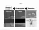 Fig. 08 - Multifunctional bioimplantable structure and method of preparing the same