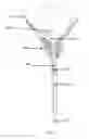 Fig. 06 - Stent removal snare and dilator