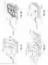 Fig. 09 - Cooling devices for providing cooling therapy to the body