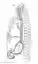 Fig. 01 - APPARATUS AND METHOD FOR ESOPHAGEAL COOLING