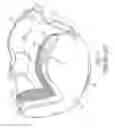 Fig. 08 - Goggles with Ventilation Structure