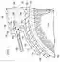 Fig. 03 - Reduced-Pressure, Wound-Closure And Treatment Systems And Methods